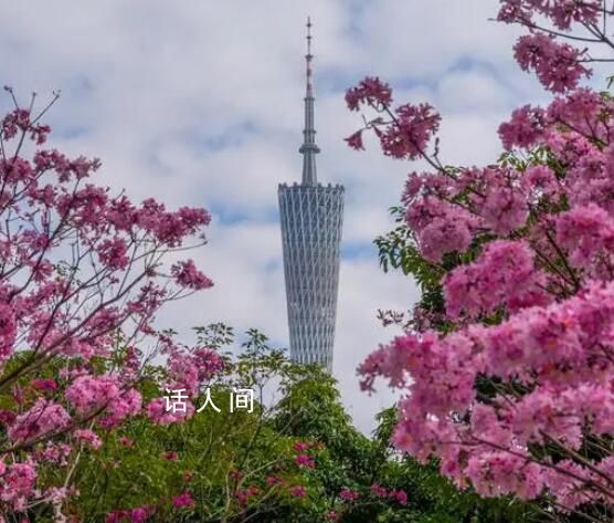 廣州塔為何總被閃電擊中 總是遭遇雷擊廣州塔周圍安全嗎？