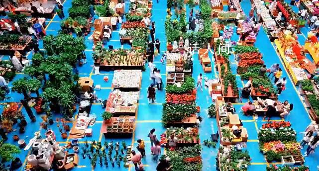 有一種叫云南的生活 萬千氣象大美中國