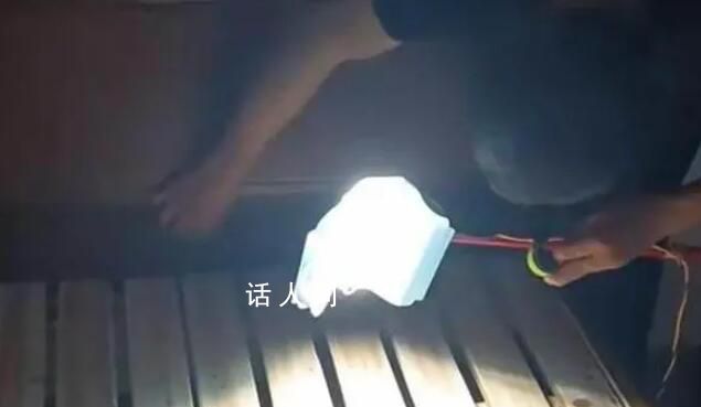 提燈定損是什么梗 提燈定損是什么意思