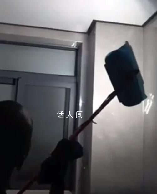 提燈定損是什么梗 提燈定損是什么意思