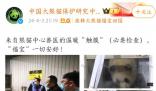 熊貓福寶疑被戳引網(wǎng)友不滿(mǎn) 官方回應(yīng)福寶被人不戴手套戳