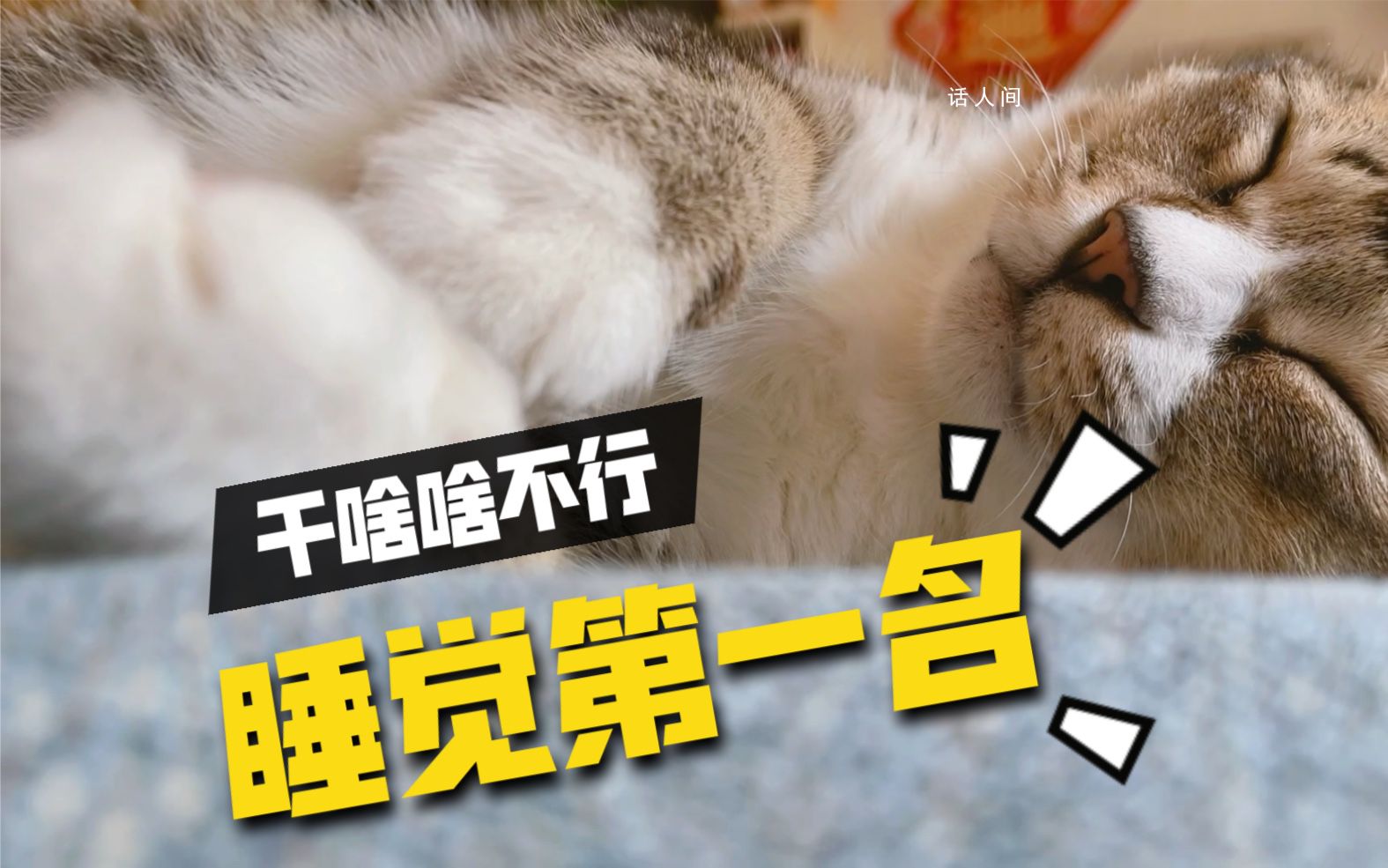 干啥啥不行XX第一名是什么梗 干啥啥不行XX第一名是什么意思