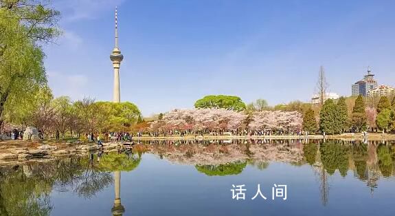 “春日經濟”熱力十足 人們開始計劃踏青賞花的旅游活動