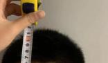 浙江一男孩小學(xué)就長(zhǎng)到1米91 成了小學(xué)校園里的第一身高