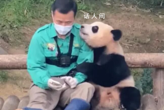 姜爺爺回應母親去世堅持送福寶 雖然心情沉重但福寶之行也很重要所以我來了