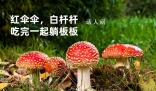 紅傘傘白桿桿是什么梗 紅傘傘白桿桿是什么意思